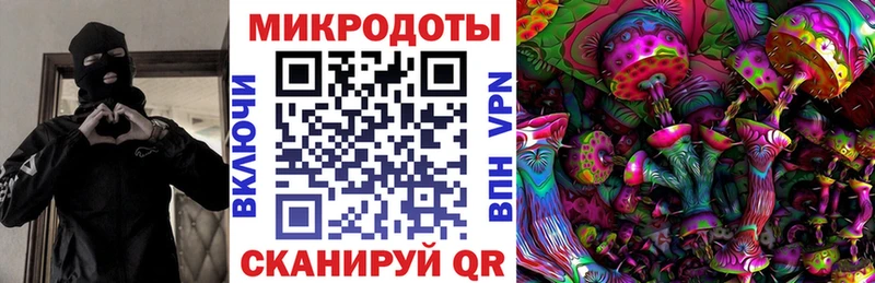 Галлюциногенные грибы Psilocybe  Заполярный 